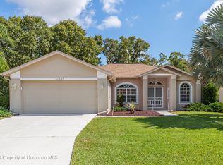 11233 Richford Ln, Spring Hill, FL 34609