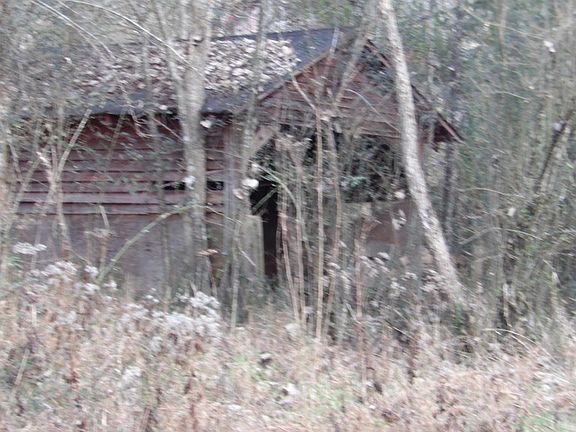 5th image of 65AC Baugh Hollow Ln