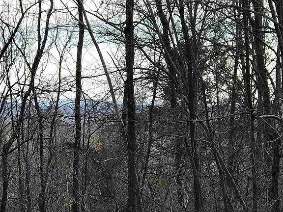 3rd image of 175 Mountain Crest Dr
