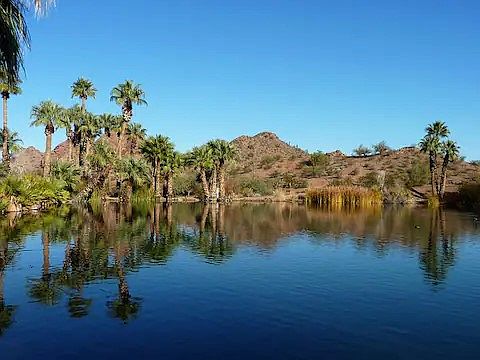 The park that is just across the street. Hike, fish, and nature/bird watching. Walk to the buttes overlooking the zoo, hole in the rock for sunset, and all that Papago park has to offer.