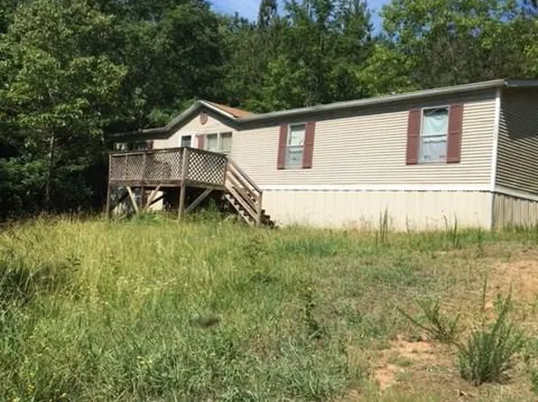 156 Sawtooth Pl, Carnesville, GA 30521