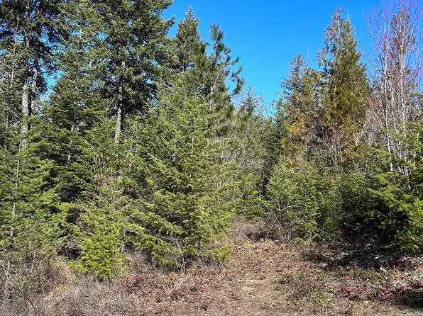 Nna Blacktail Rd, Cocolalla, ID 83813