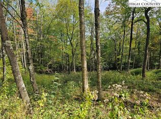 Lot 29 Lee Gualtney Road, Banner Elk, NC 28604