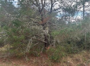 2365 W Haviland Rd, Avon Park, FL 33825