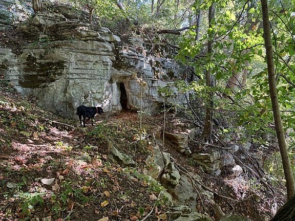 92nd image of this home