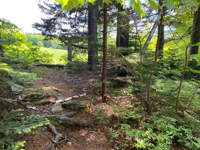 41 Rice Hill Road, East Dover, VT, 05341