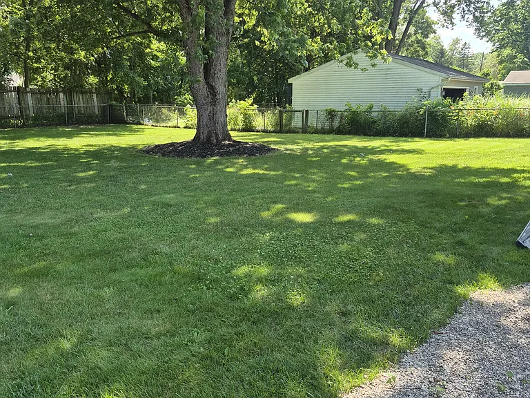 Shady rear yard