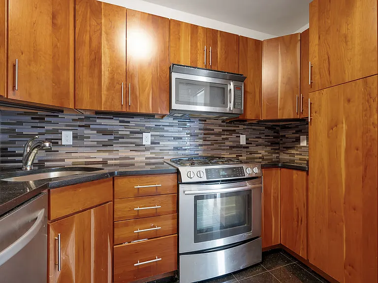 65 E India Row #19D — Photo 6