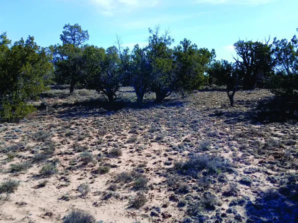 N7407-382 383, Sanders, AZ 86512