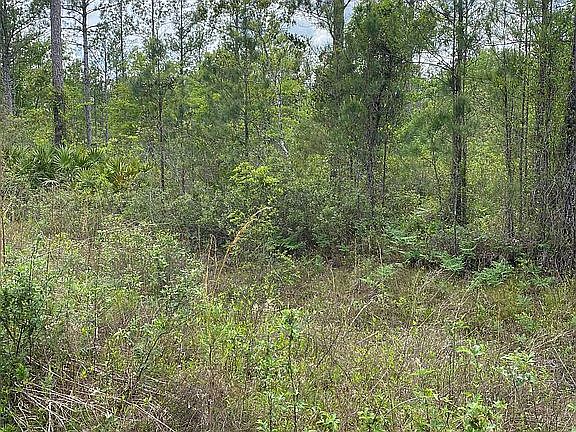 4th image of 70 Satilla Plantation
