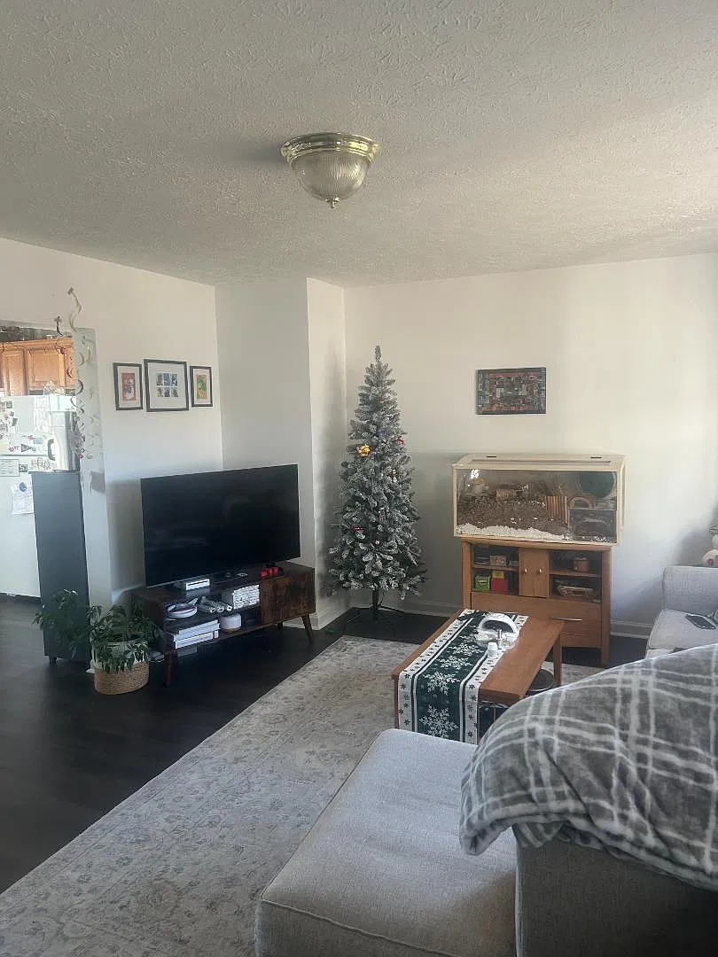 3330 Yellow Sulphur Rd — Photo 4