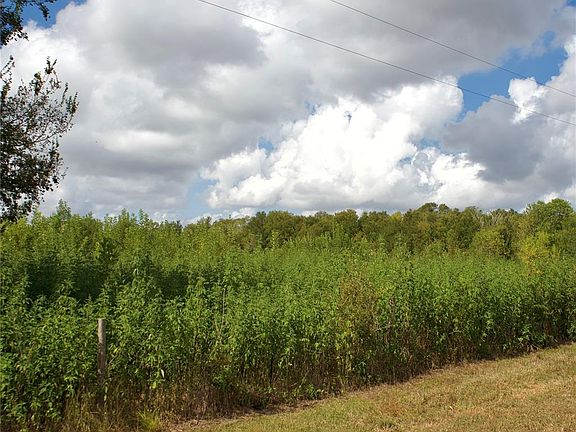 5th image of 0 County Road 220