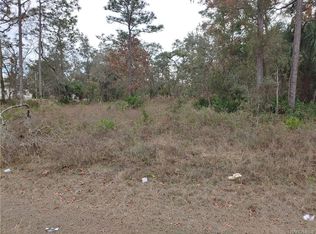 7054 W Grover Cleveland Blvd, Homosassa, FL 34446