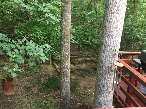View from deck 
