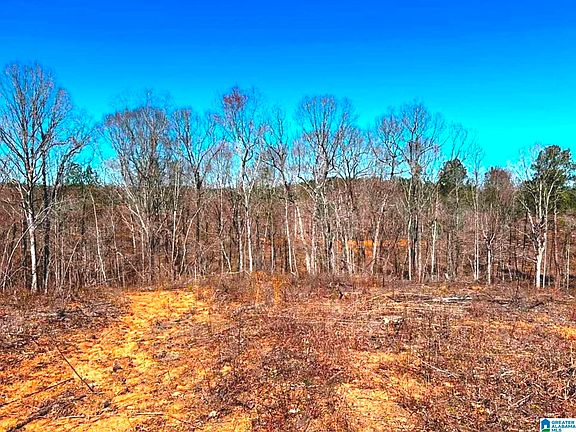 4th image of Walker Rd