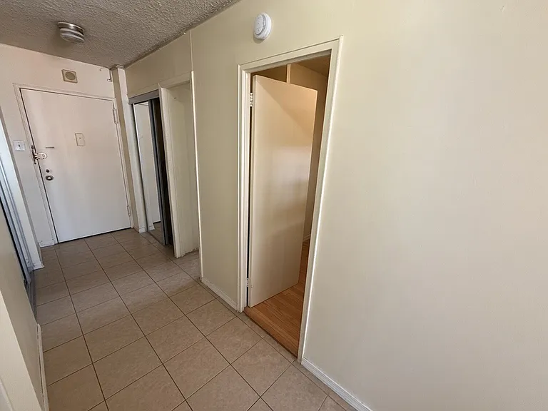 Another view of the corridor. There are 2 spacious closets on either side of the main door