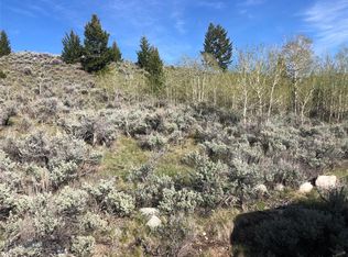 600 Elkhorn Rd, Polaris, MT 59746