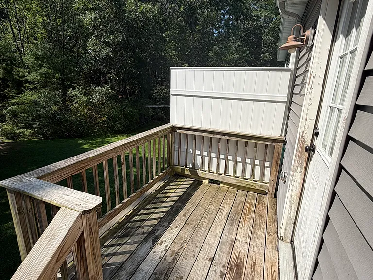 Deck and Entry door