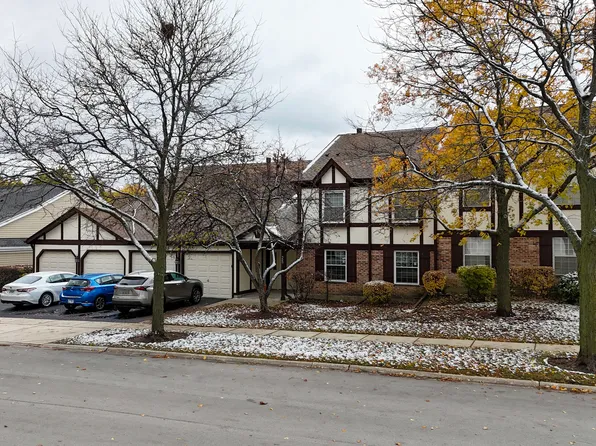 25 Illinois Ave Unit M1, Schaumburg, IL 60193