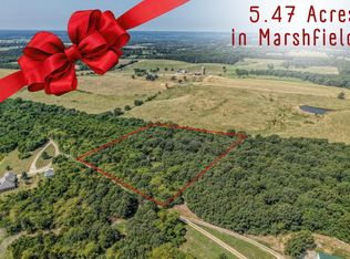 000 Beulah Creek Drive Lot 1, Marshfield, MO 65706