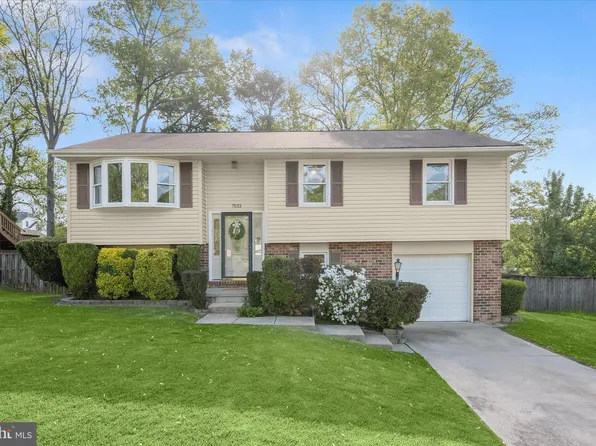7533 Lemon Tree Ct, Hanover, MD 21076