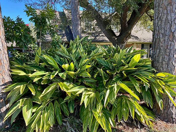 3rd image of 1714 El Dorado Blvd