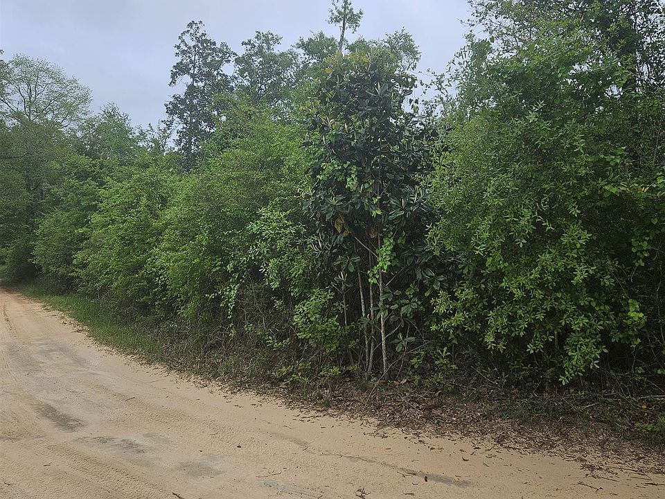 2nd image of 0 Irene Early Ln