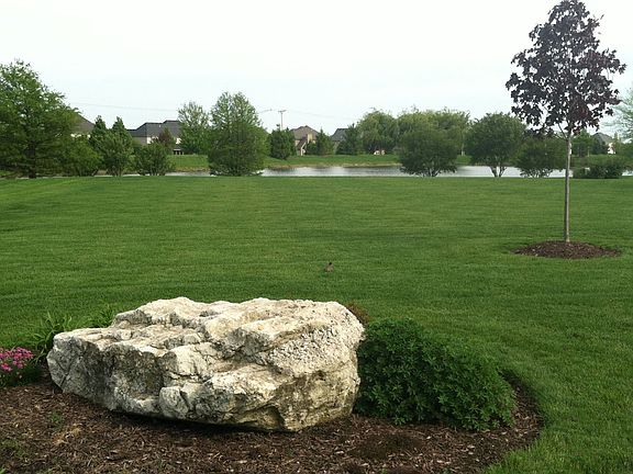 View Facing Northeast #1