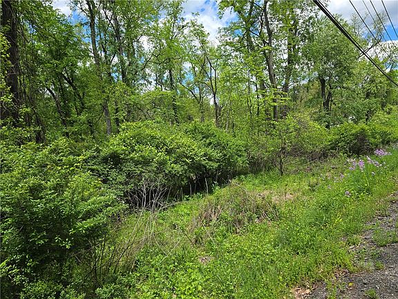 3rd image of LOT 134 Brokers Ln