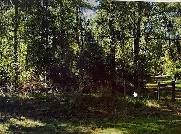 3rd image of 49486 Highway 16