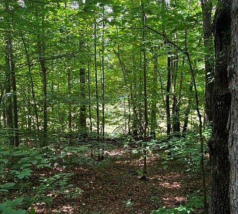 2nd image of 0 Moss Dr #71