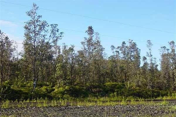 2nd image of Lot 6507