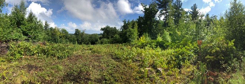 1st image of 0 Richardson Road 16 Acres