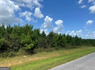 LOT 2 Whitfield Rd, Elko, GA 31025