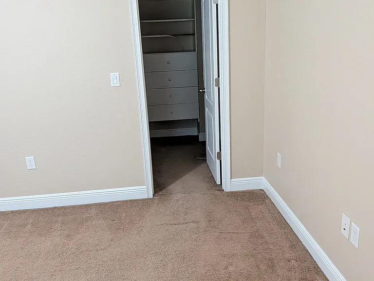 11517 Quiet Forest Dr — Photo 39