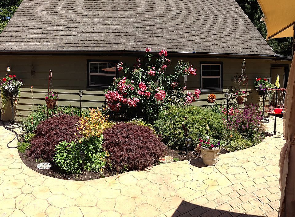 Back yard