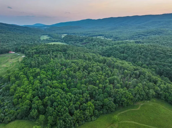 Tbd Burnsville Rd, Williamsville, VA 24487