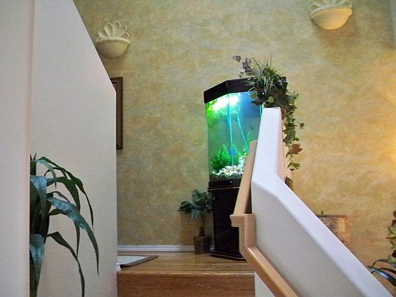 Looking up partial staircase