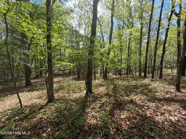 1014-1014R Cedar Ln Lot 1014R, Seven Lakes, NC 27376