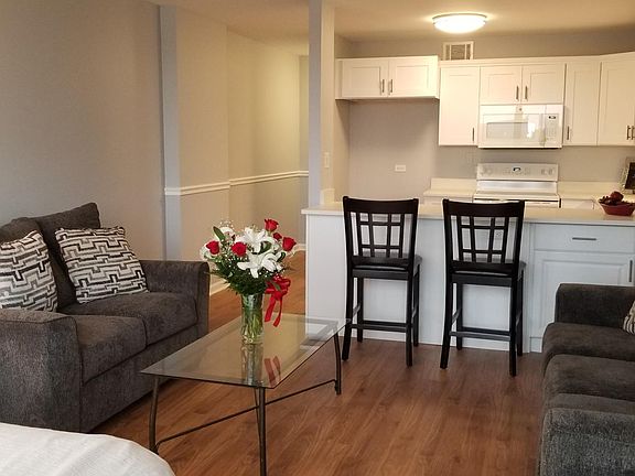 4th image of 1636 N Wells St APT 510
