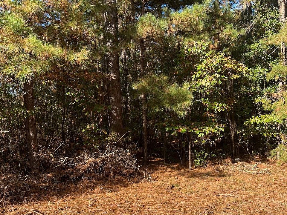 2nd image of 0 Horton Rd