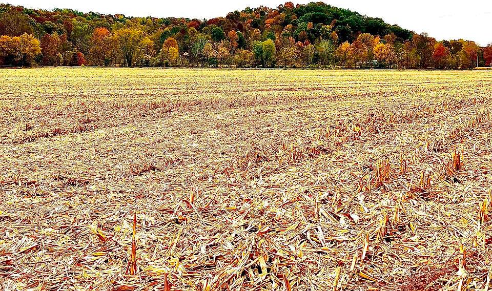 2nd image of 262 Horse Branch Loop