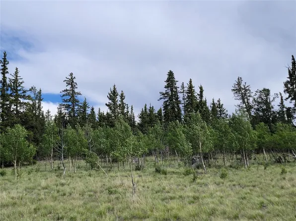 646 Turk Pony Way, Jefferson, CO 80456