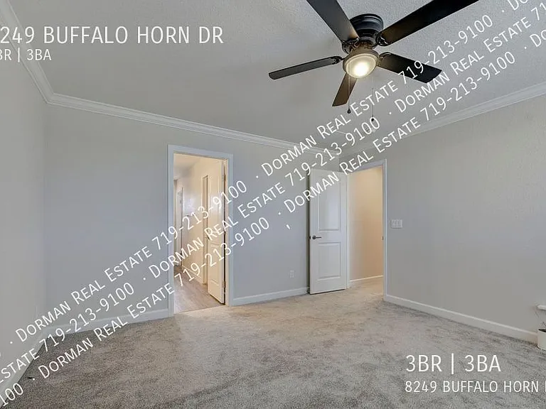 8249 Buffalo Horn Dr — Photo 11