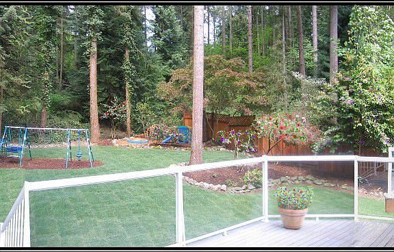 Park-like back yard