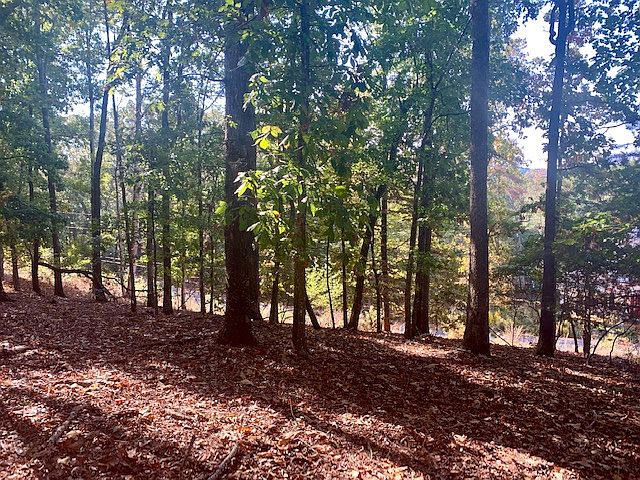 1st image of 4500 Shoreline Dr Lot 4