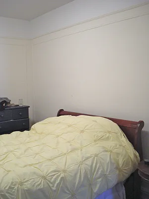 Rented by Rapid Realty Cobble Hill | media 32