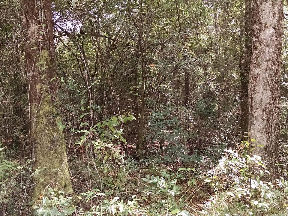 2nd image of 0 Fox Trot Trl