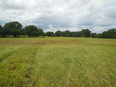 County Road 488, Ranger, TX, 76470