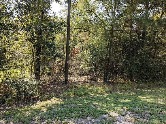 3rd image of Shoreline Dr